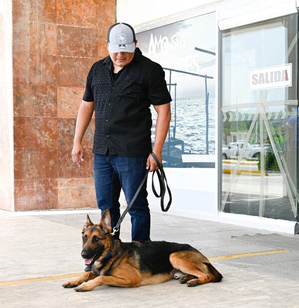 Rex, perro antinarcóticos donado a Campeche. Foto: Embajada de EU
