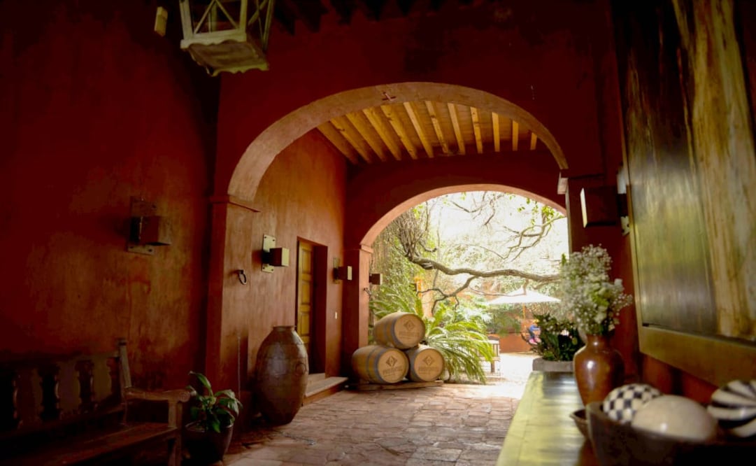 Podrás adquirir tu terreno y ser dueño de tu propio viñedo, para producir y diseñar tu vino y etiqueta. (Foto: Cortesía: Puerta del Lobo)