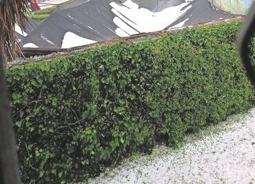 Granizada y lluvia deja caos vial en el Valle de México