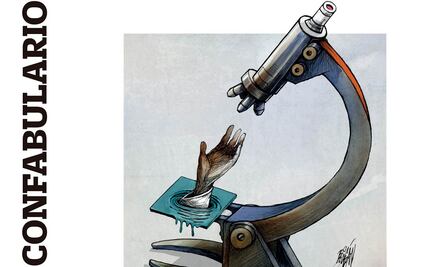 Confabulario; Ciencia: seis años de naufragio