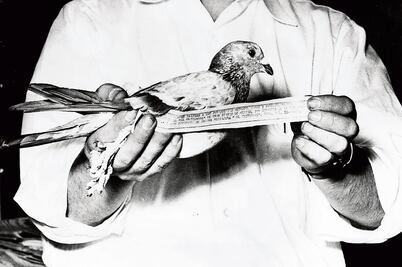 Prestigio. Del “teclazo” al Facebook live