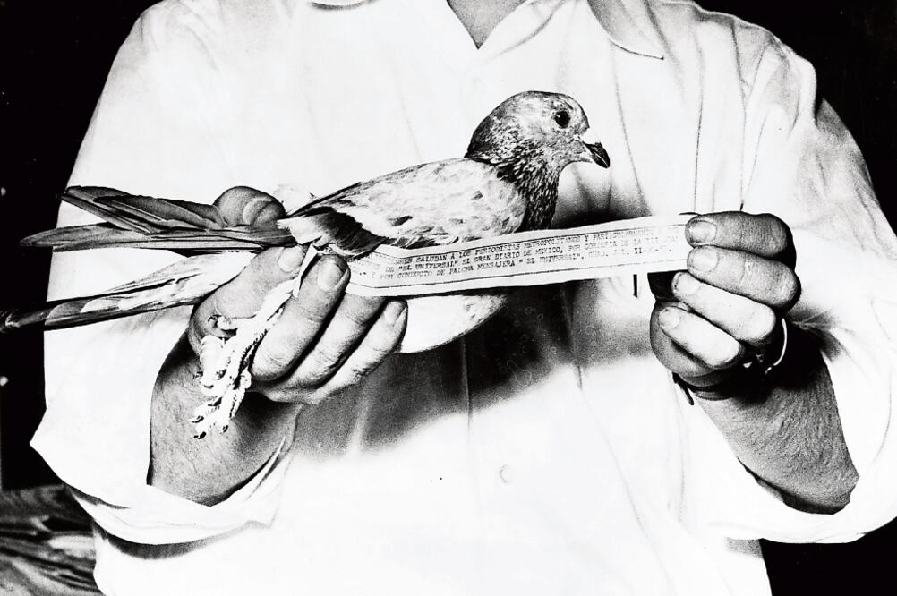 Las manos de un linotipista —evidenciado por los dedos y las uñas llenas de tinta— so st ie n e n a la paloma El Universal; entre las plumas y los dedos del trabajador, se extiende una misiva con un saludo a El Gran Diario de México (Archivo Fotográfico)