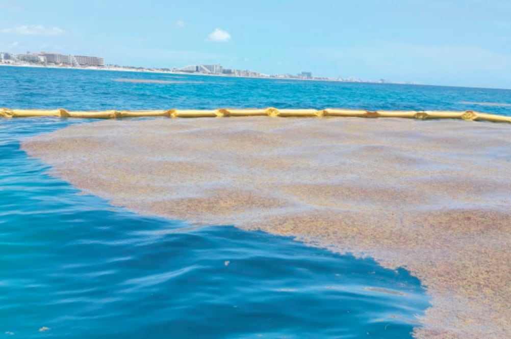 Las primeras barreras deflectoras antisargazo fueron colocadas a la altura de Punta Nizuc, en un tramo de 30.48 metros de longitud. Foto: CORTESÍA