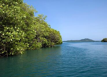 ONGs preocupadas por recorte al presupuesto sobre medioambiente; piden recursos suficientes para atender cambio climático