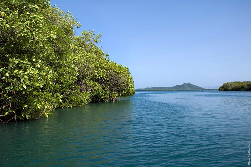 Lagunas de Chacahua de la costa de Oaxaca. Foto: Secretaría de Medio Ambiente y Recursos Naturale