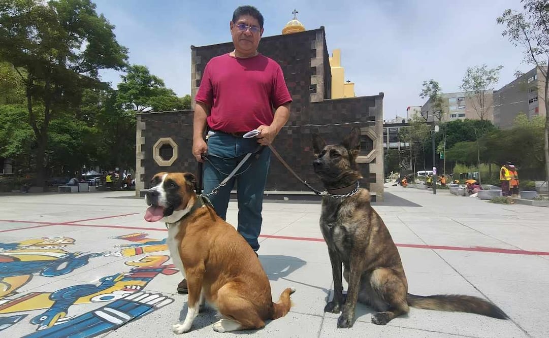 La alcaldía Cuauhtémoc y la Secretaría de Salud Pública comenzaron esterilización y vacunación antirrábica gratuita para perros y gatos. 23/09/2026. | Foto: Arantxa Meave.