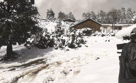 Registran temperatura de -15 grados en La Rosilla, Durango