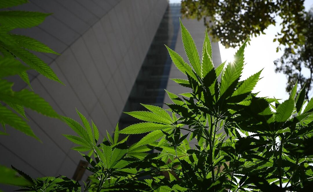 Foto: Archivo. EL UNIVERSAL