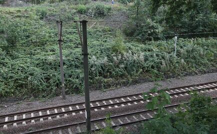 Ejército polaco ayudará a buscar el "tren del oro nazi"