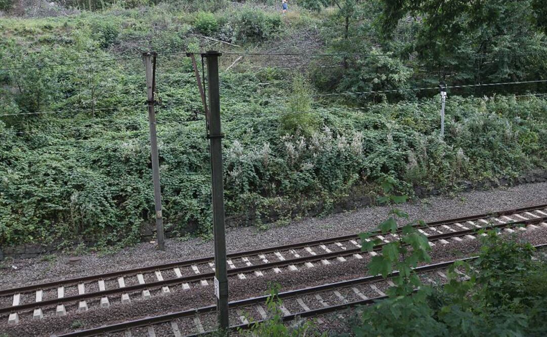 Se especula que el tren presuntamente desaparecido en la ruta ferroviaria entre Breslavia con Walbryzch hace 70 años está cargado con incalculables tesoros. (FOTO: AP)