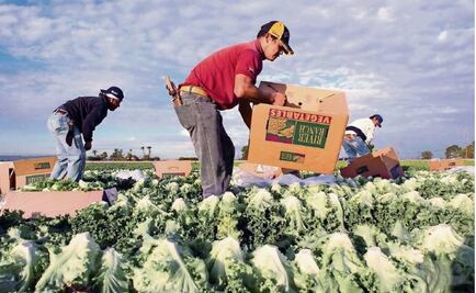 Trump's deportation vow spurs California farmers into action