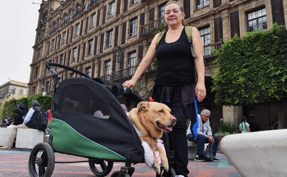 Recorrido por el Zócalo capitalino derivado de la peatonalización del área. Foto: Eduardo Castañeda/EL UNIVERSAL.