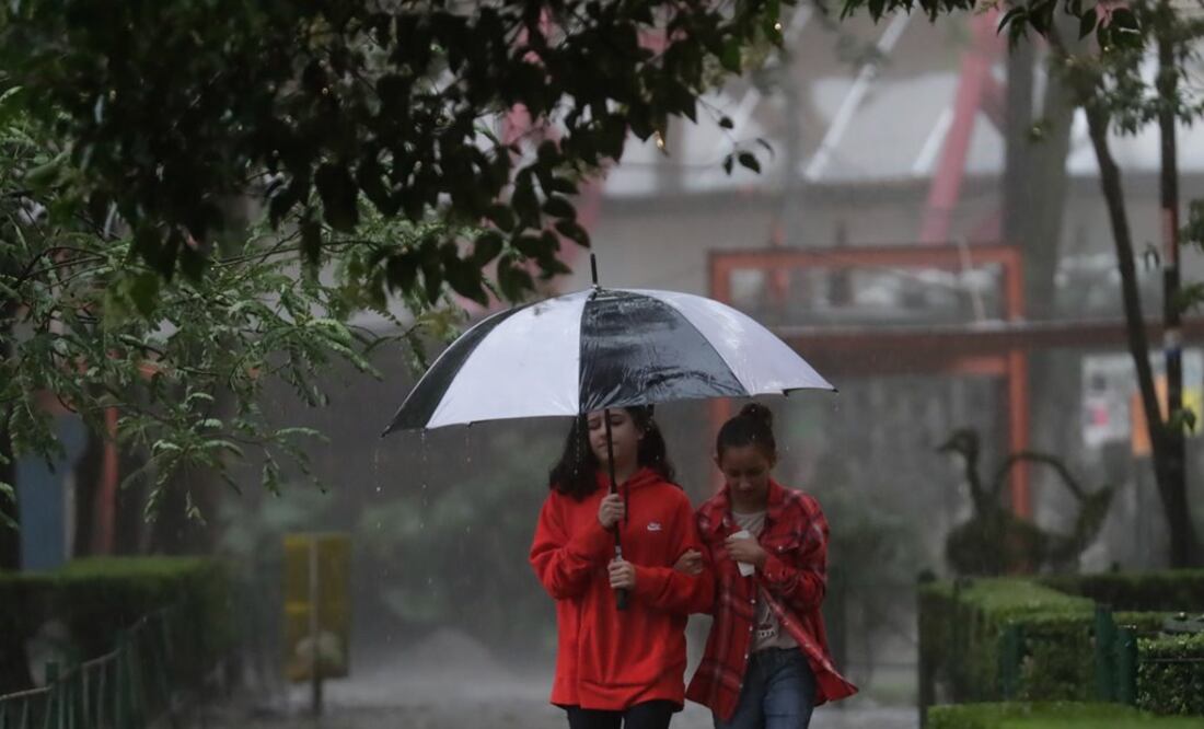 Foto: Archivo. EL UNIVERSAL