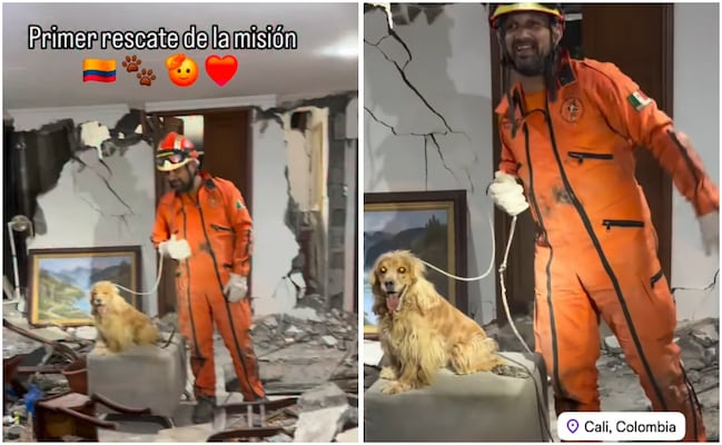 Topos Azteca realizan primer rescate en Colombia; sacan a perrito de los escombros tras el sismo de 7.4