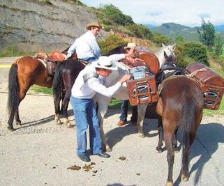 Con todo y pandemia continúa la juerga en América Latina