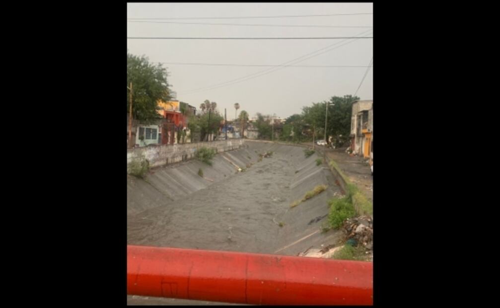 Lluvias dejan encharcamientos y caída de árboles en Nuevo León