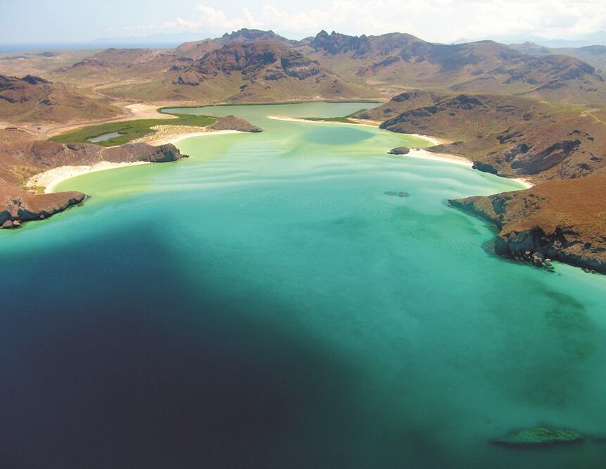 Las botellas de plástico tardan al menos mil años en biodegradarse. / Foto: Pixabay