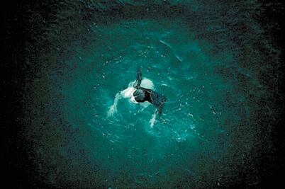 Interesa en Europa la obra de Carlos Lenin