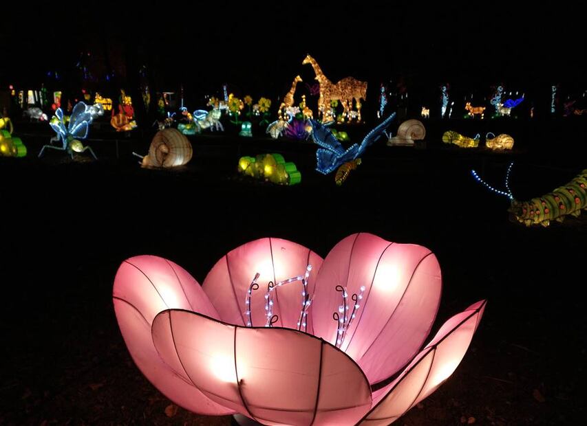 Foto: The Queens County Farm Museum