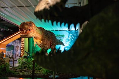Era Sauria: la nueva exposición de dinosaurios en Toluca