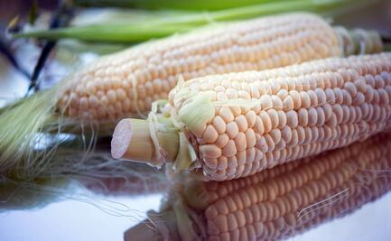 Canadá se une a EU en panel del T-MEC contra México por maíz transgénico