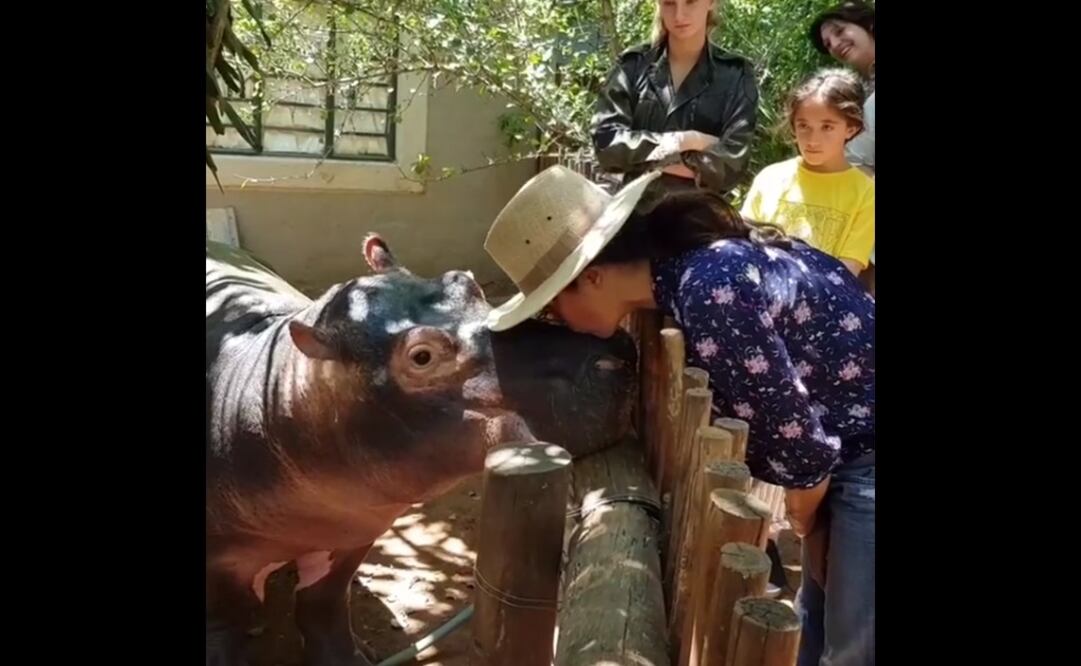 Foto: Instagram / Salma Hayek