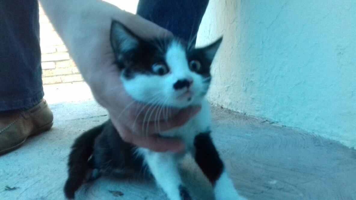 Foto: tomada del Facebook del agresor