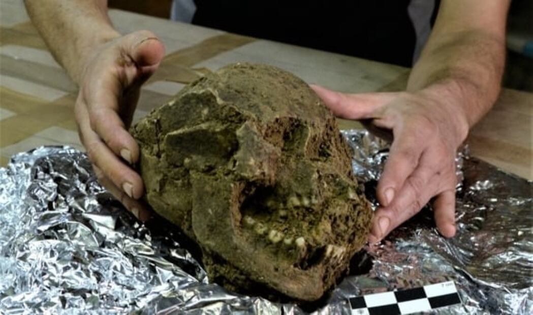 Una osamenta prehispánica hallada en Palenque habría sido de una mujer extranjera