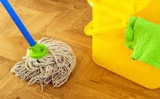 ¿Cómo hacer tu propio limpiador de pisos natural y ecológico?; descubre el truco casero
