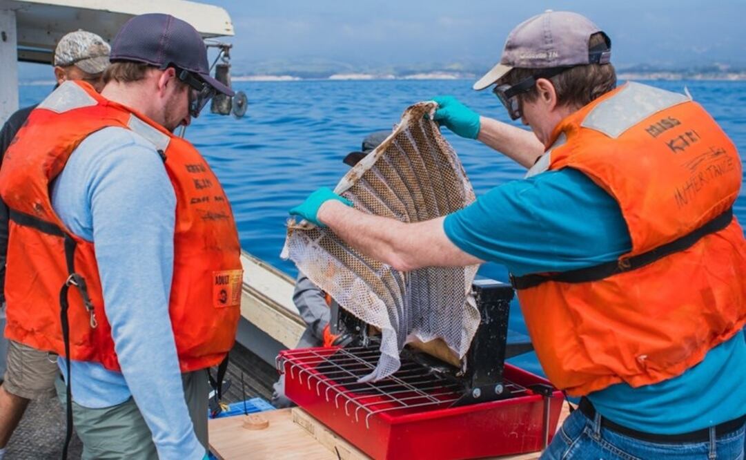 Foto: Argonne National Laboratory 