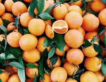 Cinco maneras de incluir vitamina C en tu rutina de belleza