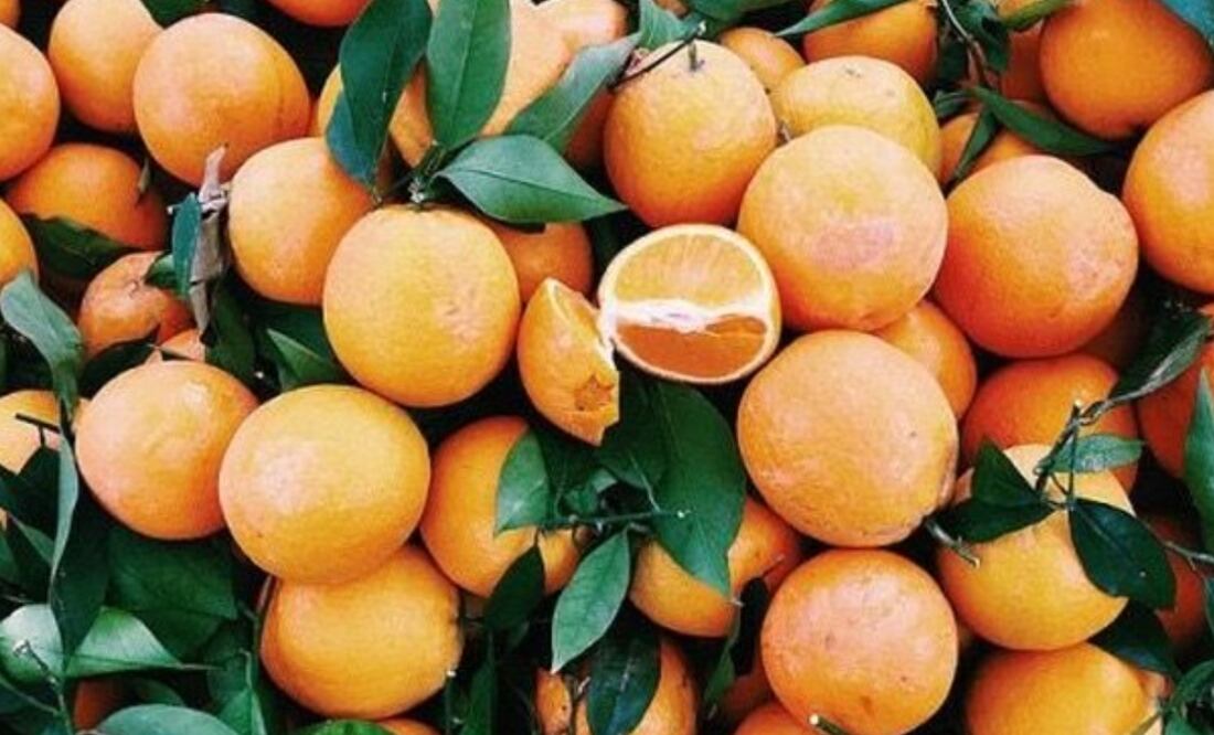 No sólo ayudará a reducir los efectos del envejecimiento, lucirás una piel más luminosa Foto: Instagram