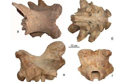 Los "unicornios" existieron y no eran como los imaginábamos