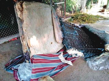 Vinculan a proceso a funcionario que dio colchones viejos a damnificados en Sinaloa