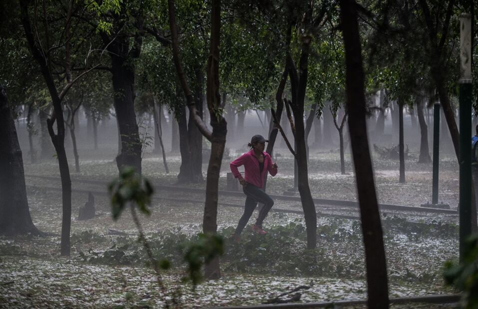 Foto: Germán Espinosa/EL UNIVERSAL