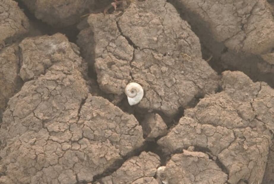 De lago a cementerio de lanchas