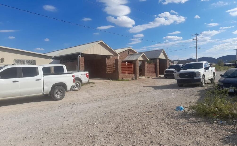 Encuentran un ligre, armas y camioneta robada en vivienda de Coyame del Soto, Chihuahua. Foto: Especial