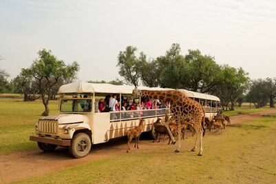 5 lugares que puedes visitar en lunes de puente