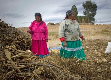Conocimiento ancestral; descubre por qué es la “solución” al cambio climático, según experta de la ONU