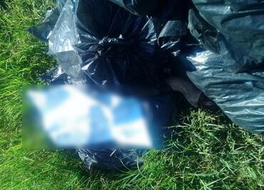 Hallan 7 personas asesinadas en Uruapan, 4 estaban desmembradas