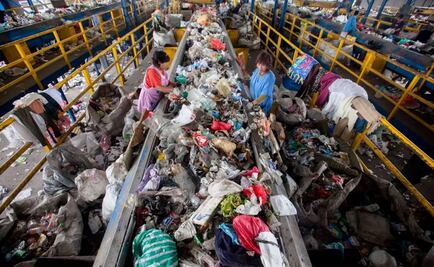 UNAM researchers identify microorganisms that degrade plastics