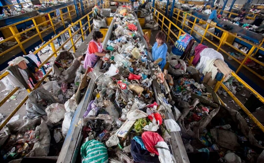 Some bacteria found by the team are also capable of degrading various types of polyurethane. (Photo: Archive/El Universal)     