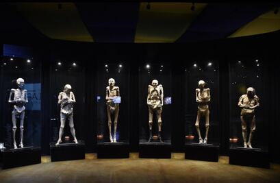 Aprueba Congreso de Guanajuato endeudamiento para museo de las momias