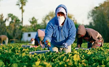 Aún hay preocupaciones de los agroproductores que deben ser escuchadas, afirma CNA