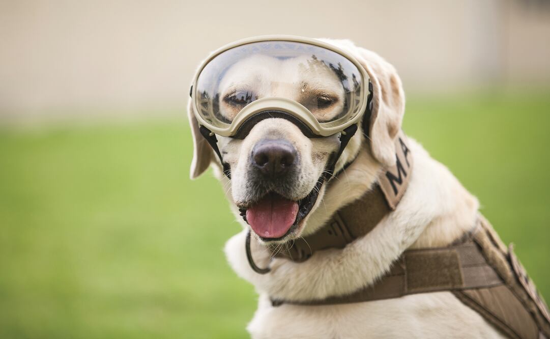 (FOTO: ARCHIVO EL UNIVERSAL)