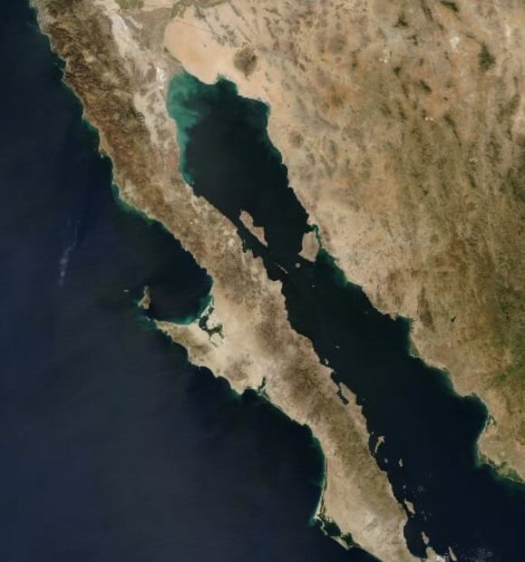 La cueva submarina más grande del mundo está en México: 20 datos sobre los mares