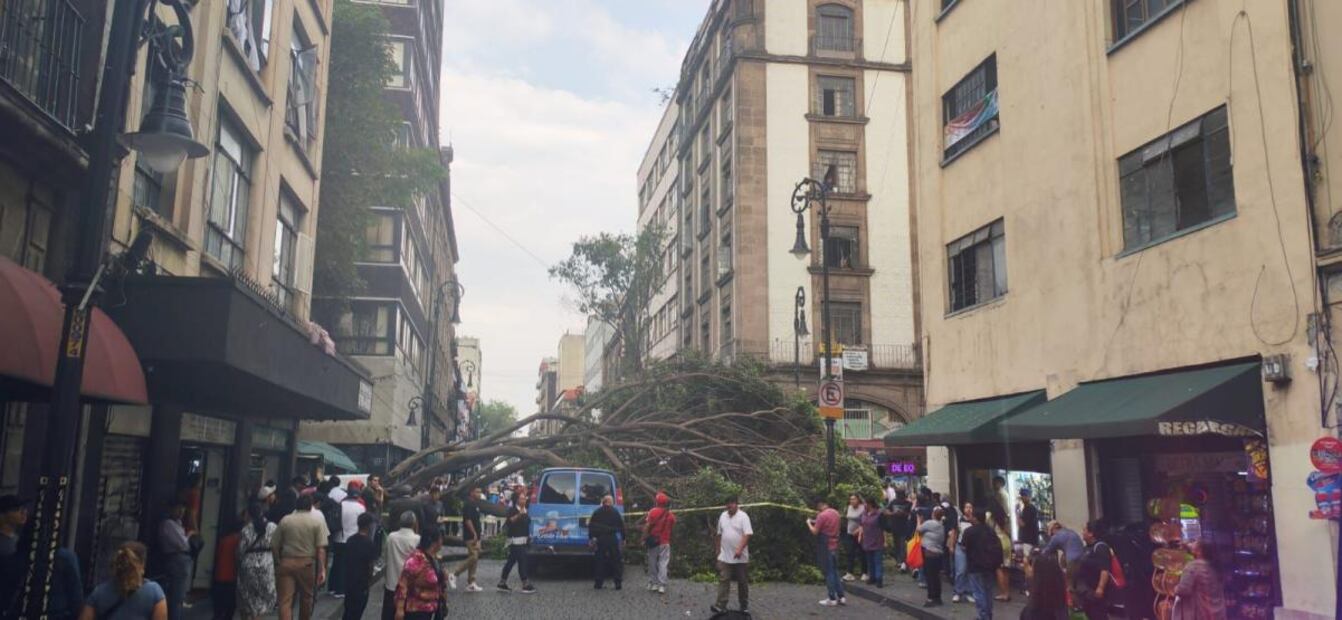 Caída del árbol impactó un puesto metálico instalado en la zona, generando alarma entre comerciantes y peatones que transitaban por el lugar. Fotos: Especiales.