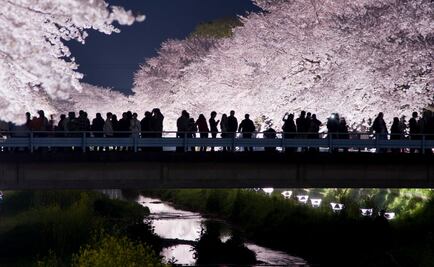 Cómo le hago para… viajar a Japón