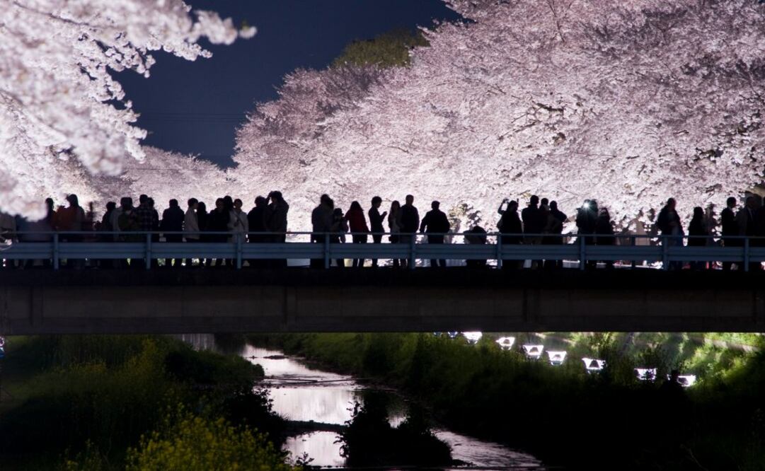 La mejor temporada para viajar aquí es en primavera, entre marzo y mayo. (Foto: iStockPhoto)