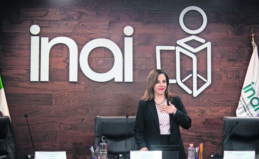 Blanca Lilia Ibarra confió en la unidad con otras naciones para lograr grandes resultados, Foto: Archivo / EL UNIVERSAL